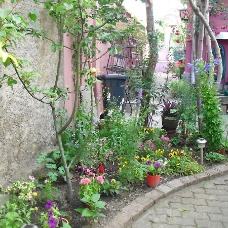 Vila La Baraque Colmar Exteriér fotografie