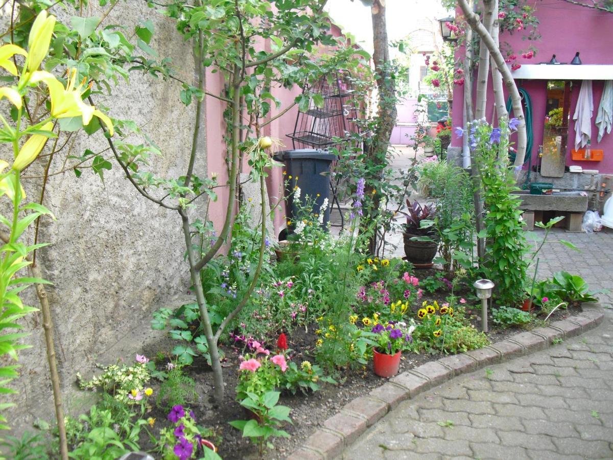 Vila La Baraque Colmar Exteriér fotografie